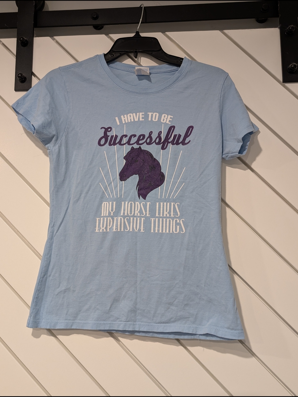 Light Blue Graphic Tee Shirt with Purple Horse Print - Women's Top